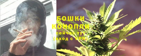 СК Зеленодольск