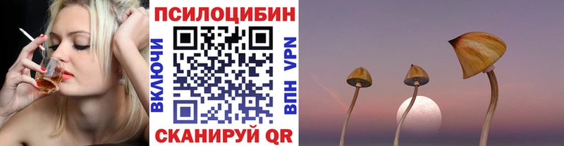 Псилоцибиновые грибы Cubensis  Свирск 
